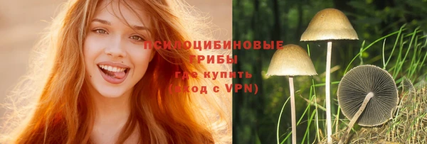 a pvp Богородицк