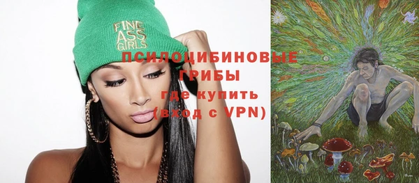 МДПВ Богданович